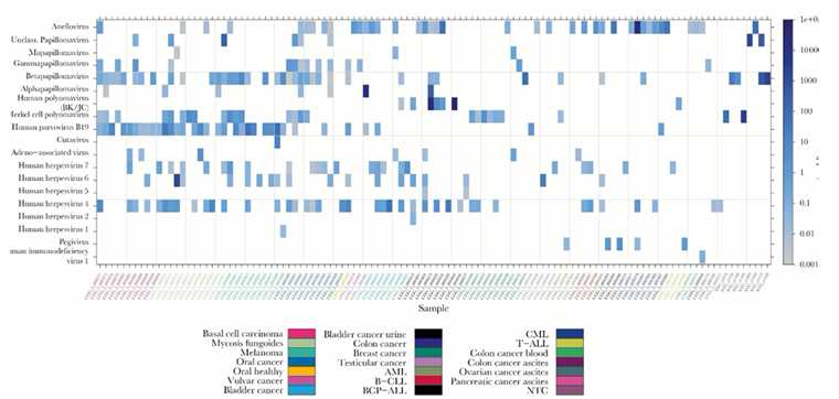 Metagenomics Sequencing Service for Cancer-associated Virus